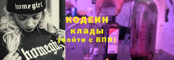 2c-b Горно-Алтайск