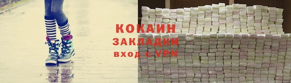 индика Верея