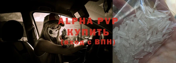 спиды Вязьма