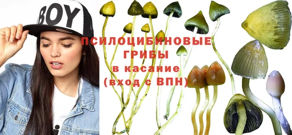 apvp Вязники
