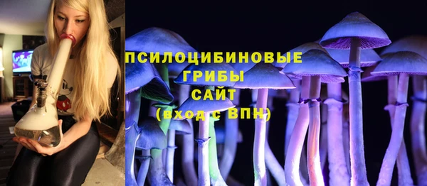 apvp Вязники